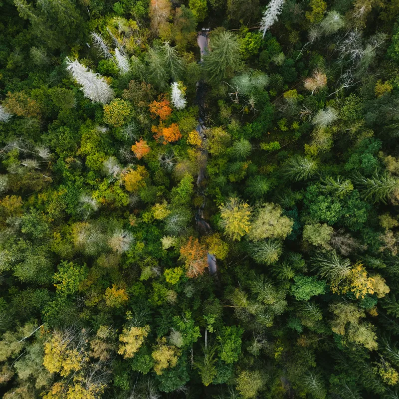 kristaps-ungurs-owcJsiIK7UU-unsplash